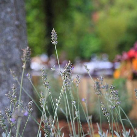 Podere La Miniera Relax & Food シエーナ エクステリア 写真