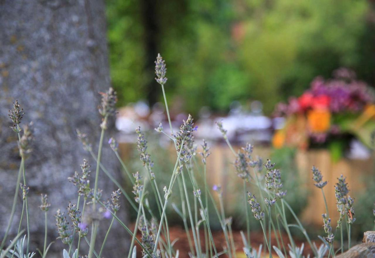 Podere La Miniera Relax & Food シエーナ エクステリア 写真